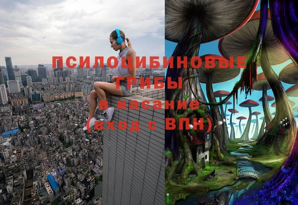 прущие крисы Богородицк