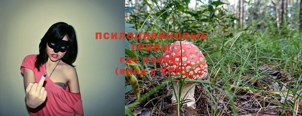 каннабис Богданович
