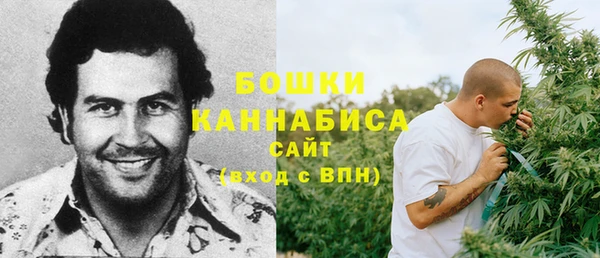 хмурый Богородск