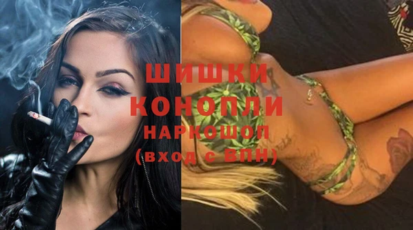хмурый Богородск