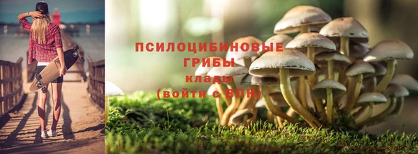 хмурый Богородск