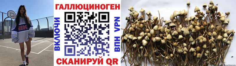 Купить закладки  Ворсма  Псилоцибиновые грибы MAGIC MUSHROOMS 